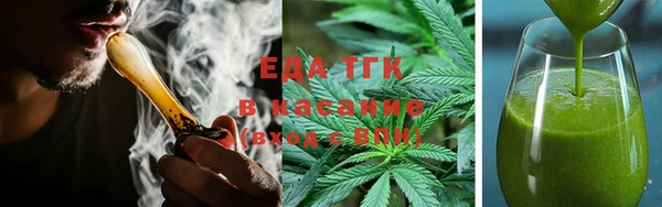 индика Алзамай