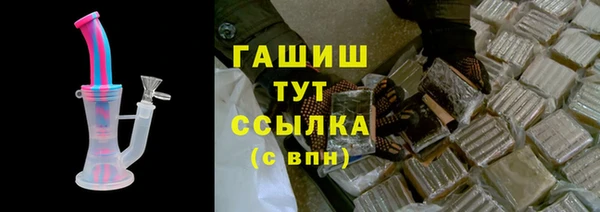 индика Алзамай