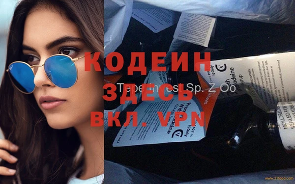 индика Алзамай