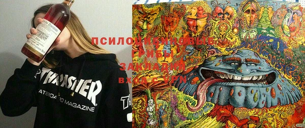 каннабис Алексин